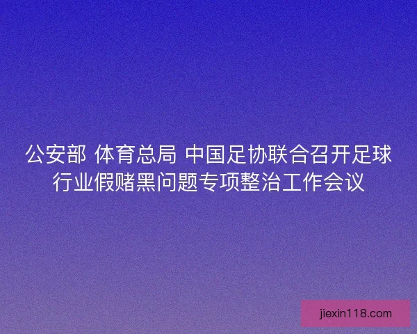 公安部 体育总局 中国足协联合召开足球行业假赌黑问题专项整治工作会议
